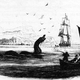 Illustration for article titled A Field Guide to Cryptids From Europe and Africa